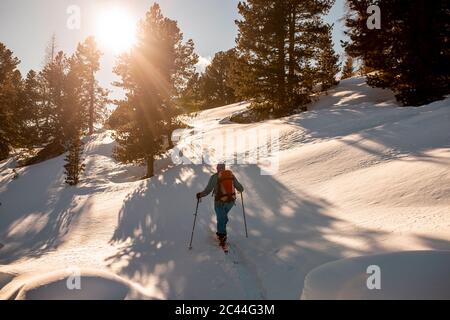 Autriche, Carinthie, Reichenau, Nockberge, Falkert, vue arrière de l'homme ski de randonnée au coucher du soleil Banque D'Images