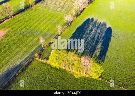 Allemagne, Bavière, Gaissach, Drone vue sur les prairies verdoyantes de campagne au printemps Banque D'Images