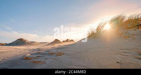 Pologne, Pomerania, Leba, dune de sable au parc national de Slowinski au coucher du soleil Banque D'Images