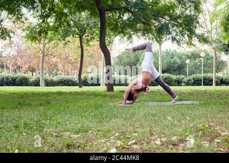Femme de taille moyenne pratiquant le yoga sur tapis dans le parc Banque D'Images