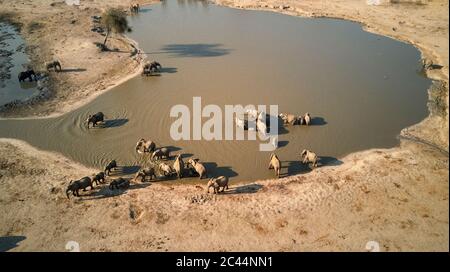 Vue sur les éléphants par drone au trou d'eau du parc national de Hwange, Zimbabwe Banque D'Images