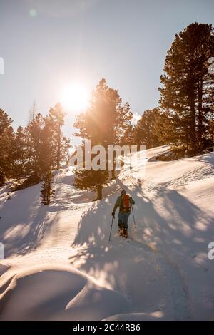 Autriche, Carinthie, Reichenau, Nockberge, Falkert, vue arrière de l'homme ski de randonnée au coucher du soleil Banque D'Images