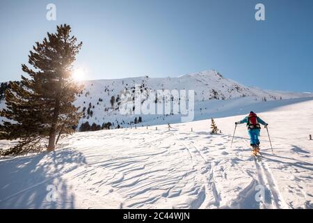 Autriche, Carinthie, Reichenau, Nockberge, Falkert, Homme ski de randonnée par beau temps Banque D'Images