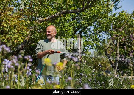 Homme senior arrosoir des fleurs dans le jardin Banque D'Images