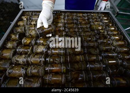 Luoyang, province chinoise de Henan. 23 juin 2020. Un membre du personnel présente Zongzi, une cuisine chinoise traditionnelle faite de riz gluant généralement enveloppé de feuilles de bambou à l'occasion du Dragon Boat Festival, lors d'un atelier d'une compagnie alimentaire dans le village de Beicun du comté de Luoning à Luoyang, dans la province de Henan, en Chine centrale, le 23 juin 2020. Ces dernières années, en s'appuyant sur ses riches ressources en bambou, Luoning a développé sa propre variété de Zongzi et d'affaires connexes pour aider les villageois à se débarrasser de la pauvreté. Crédit: Feng Dapeng/Xinhua/Alay Live News Banque D'Images