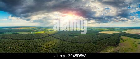 Paysage rural avec magnifique ciel orageux. Nuage en forme de champignon sur le ciel. Vue aérienne sur la campagne et la forêt de pins en été. Banque D'Images