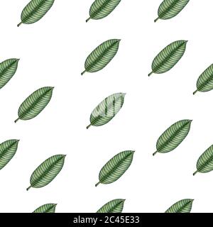 motif sans couture avec feuilles de banane tropicale, fond tropical d'été pour le tissu, l'emballage ou le papier peint, jolie illustration dessinée à la main Banque D'Images