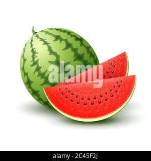 Pastèque réaliste vectoriel Illustration de Vecteur