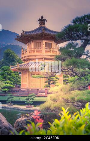 Pavillon d'or oriental de perfection absolue et bonsaï dans le jardin de Nan Lian, Chi Lin Nunnery, Hong Kong Banque D'Images