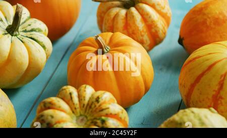 Pumpkins mis en ligne sur le tableau Banque D'Images