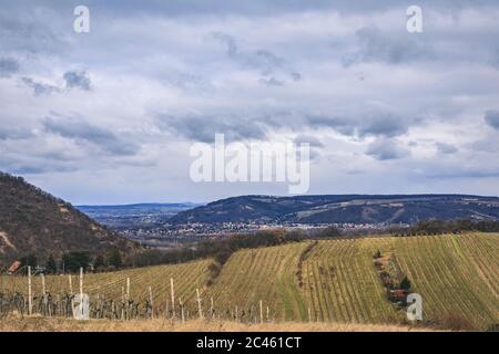 Vue sur les vignobles hibernes de Grinzing/Nussdorf à Vienne Banque D'Images