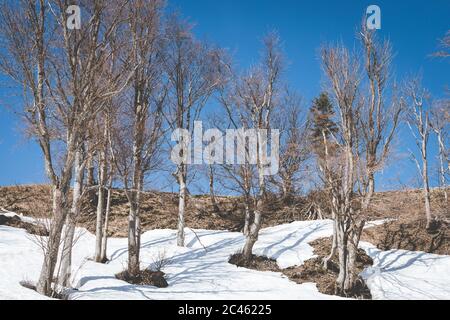 Paysage alpin de Puchberg am Schneeberg Banque D'Images