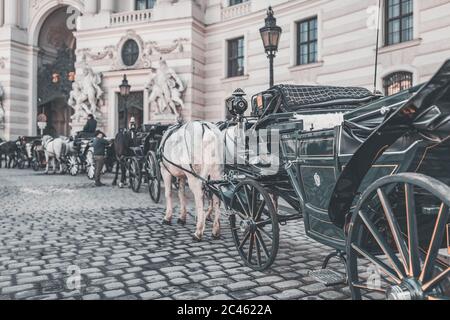 Fiaker de Vienne, calèche en face du Palais impérial - Hofburg Banque D'Images