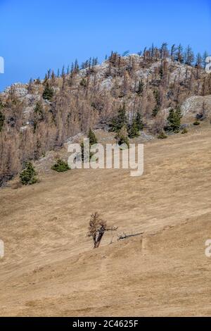 Paysage alpin de Puchberg am Schneeberg Banque D'Images