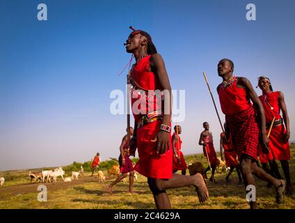 Masai Warriors Dancing, comté de Nakuru, Nakuru, Kenya Banque D'Images