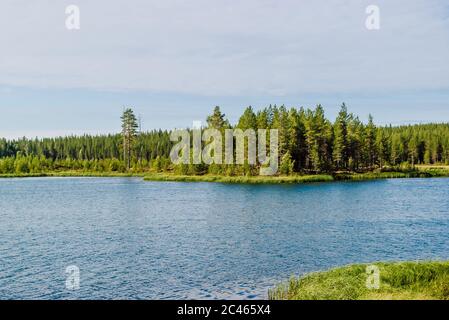 Belle vue sur les eaux calmes et la forêt dense de conifères sur la rive opposée d'un lac typique dans le nord de la Suède en été. Banque D'Images