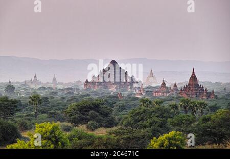 Vue sur les plaines de Bagan, Myanmar avec lumière douce et chaude, temples bouddhistes Banque D'Images