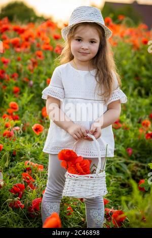 Petite fille mignonne avec un panier avec bouquet de coquelicots se tient dans un domaine de coquelicots, tchèque repeint Banque D'Images