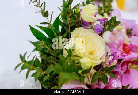 Bouquet de roses et iris isolé sur fond blanc. Banque D'Images