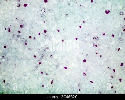 Texture de la litière blanche pour chats. Banque D'Images