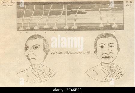 La caricature du nez de Boatswain. Watersputs 1788 ancienne image d'impression ancienne Banque D'Images