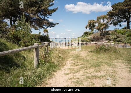 Les jardins de pierre de Sandbanks donnent sur le terrain de jeux millionnaires de Poole Harbour à Dorset Banque D'Images