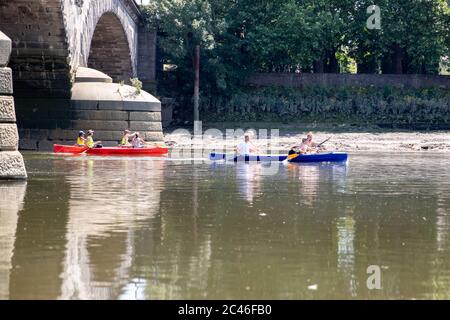 Météo Royaume-Uni : Londres, Royaume-Uni. 24 juin 2020. Après-midi chaud et ensoleillé à Chiswick. Les gens font du kayak sur la Tamise sous le pont Kew. Crédit : Liam Asman/Alay Live News Banque D'Images