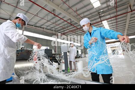 (200624) -- SONGTAO, 24 juin 2020 (Xinhua) -- des résidents ruraux déplacés travaillent dans une société pharmaceutique locale du comté autonome de Songtao Miao, dans la province de Guizhou, dans le sud-ouest de la Chine, le 17 juin 2020. Depuis juin 2019, les autorités locales de Songtao ont pris plusieurs mesures pour améliorer le niveau de vie des résidents qui avaient déménagé des régions montagneuses les plus pauvres du comté. Ces services comprennent l'offre de meilleurs services publics, des conseils en carrière et une formation professionnelle accrue aux fins de l'allégement de la pauvreté. En mai 2020, un total de 26,964 résidents ruraux se sont réinstallés dans cinq établissements Banque D'Images