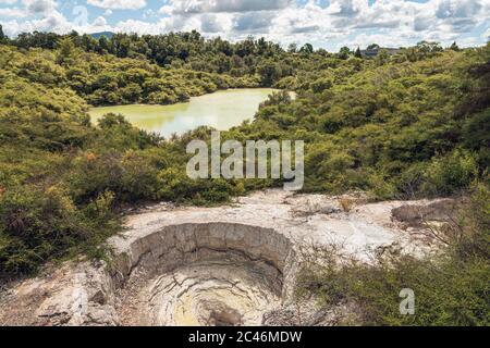 Lac Waikaukau et évent à vapeur, te Puia, Rotorua, Île du Nord, Nouvelle-Zélande Banque D'Images