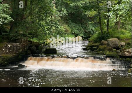 Weir dans la rivière Washburn, Yorkshire, Royaume-Uni Banque D'Images