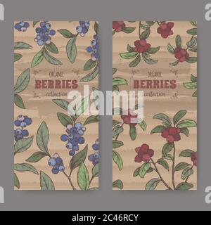 Ensemble de deux étiquettes de coor avec le dessin de branche de myrtille alias Vaccinium corymbosum et Cranberry aka Vaccinium oxycoccos. Illustration de Vecteur