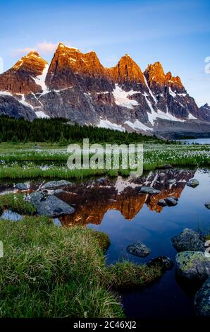 Le Tonquin Valley Trail, Jasper National Park, Alberta, Canada Banque D'Images