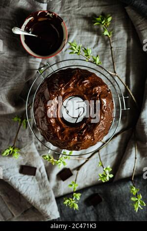 Gâteau au chocolat noir encore à vie. Gâteau couvert de glaçage au chocolat. De jeunes feuilles vertes autour, un bol avec glaçage fondu. Ligne grise et beige Banque D'Images