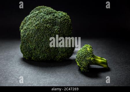 Brocoli sur fond gris foncé, lumière naturelle venant du dessus, photo horizontale Banque D'Images