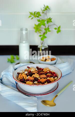 Un bol de granola avec noix, chocolat et canneberges séchées, une bouteille de lait, un petit bol avec noix, cuillère, serviette, branche verte sur le fond. A Banque D'Images