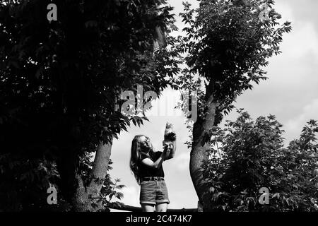 Une jeune femme tenant un chaton écossais droit et moelleux de trois mois sur sa tête en été, comme avec le dessin animé Roi Lion. Un jour, Simba, tout sera à vous. Ils sont debout sur un magnifique arbre vert au-dessus du lac. Promenez-vous, détendez-vous avec un chat. La blonde porte un short en Jean, un t-shirt en coton noir et des lunettes. Banque D'Images