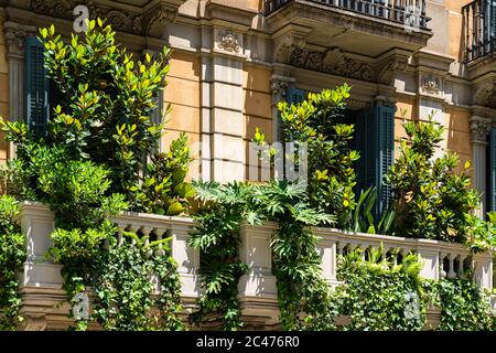 Façade Bâtiment Architecture avec beaucoup de végétation verte surcultivée dans la ville de Barcelone, Espagne Banque D'Images