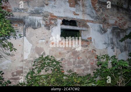 Mur avec fenêtres dans l'ancienne église abandonnée Banque D'Images