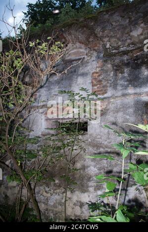 Mur avec fenêtres dans l'ancienne église abandonnée Banque D'Images