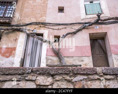 Photo d'une maison rose avec une vigne sur un fil barbelé Banque D'Images
