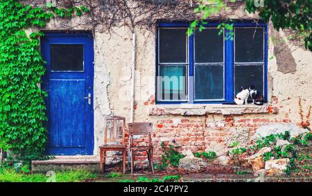 Deux chats assis en face de la vieille maison pauvre dans un village solitaire. Banque D'Images