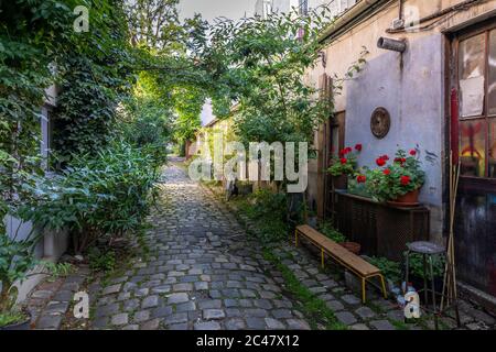 Paris, France - 24 juin 2020 : la rue Durmar avec sa végétation dans le 11ème arrondissement de Paris Banque D'Images