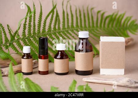 Produits cosmétiques naturels à base de plantes avec herbes sur fond papier artisanal, vue du dessus. Maquette de marquage, emballage durable, verre ambré, éco- Banque D'Images