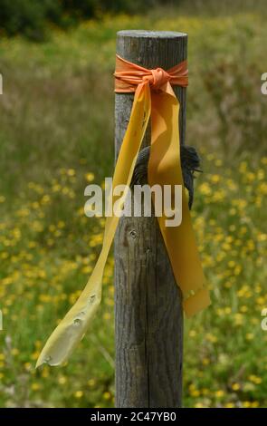 Un ruban en plastique jaune et orange lambreté sur un poteau de clôture en bois souffle dans le vent devant un champ avec des fleurs sauvages jaunes Banque D'Images