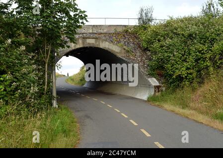 Un cycliste descend une colline en vélo vers un tunnel sur le sentier Galloping Goose Trail dans la ville de View Royal, Colombie-Britannique, Canada sur VanC, dans le Grand Victoria Banque D'Images