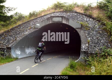 Un cycliste se dirige vers un tunnel sur le sentier de la Galloping Goose Trail, dans la ville de View Royal, dans le grand Victoria. L'ancien chemin de fer est utilisé par pedestr Banque D'Images