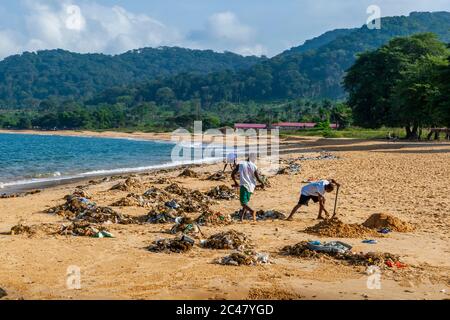 Llittered Beach dans Western Area Rural, Sierra Leone Banque D'Images