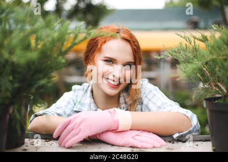 Portrait de beau fleuriste souriant en gants roses heureux regardant dans l'appareil photo tout en travaillant en serre Banque D'Images