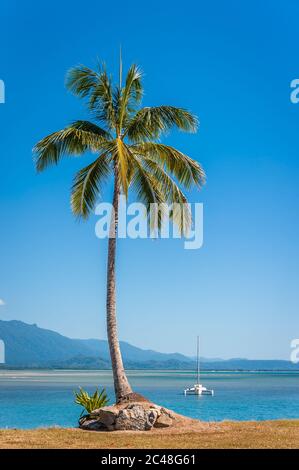 Scène emblématique palmiers à noix de coco surplombant les eaux cristallines et bleues de l'océan Pacifique avec un trimaran ancré à Port Douglas, Queensland, Australie. Banque D'Images