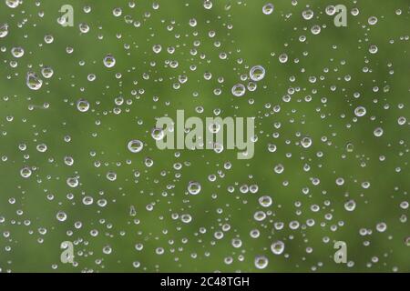 La pluie tombe à la fenêtre devant un paysage vert Banque D'Images